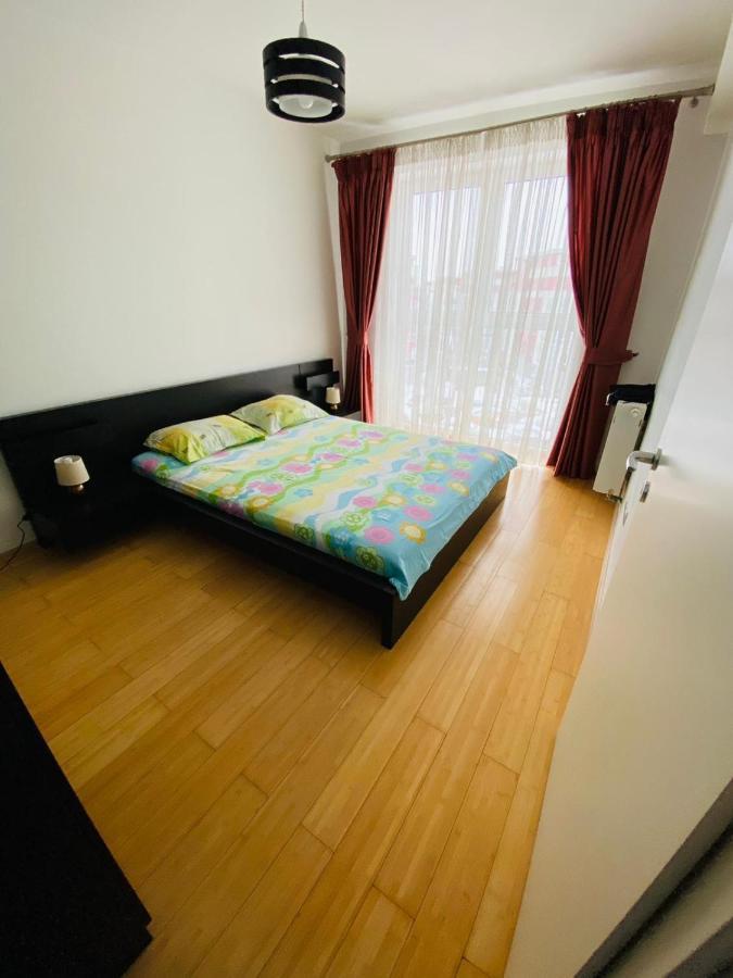 Apartment Richy 布拉索夫 外观 照片