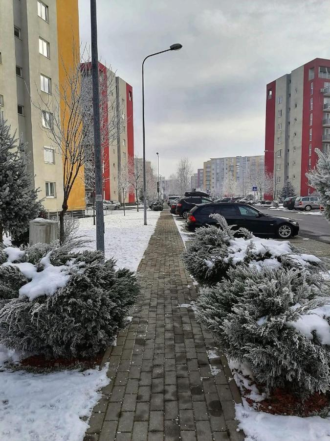 Apartment Richy 布拉索夫 外观 照片