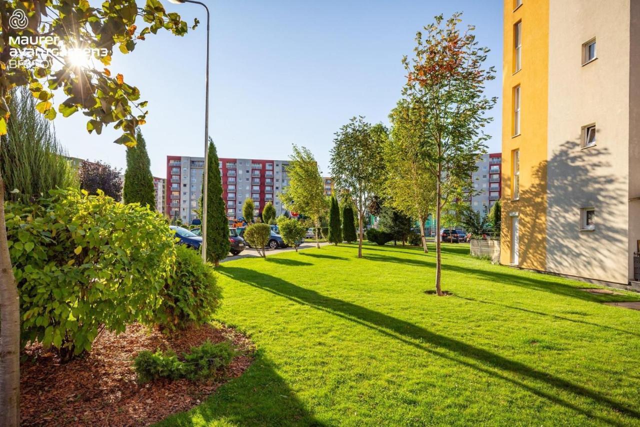 Apartment Richy 布拉索夫 外观 照片